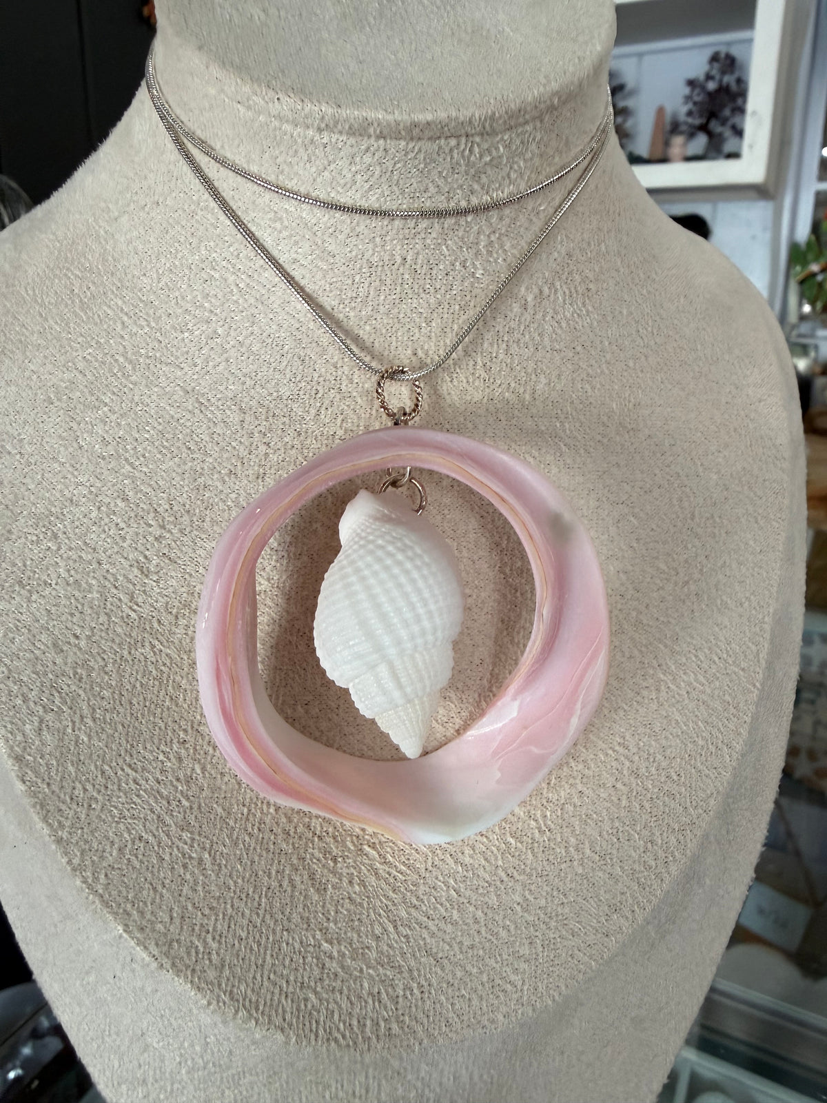 Albino nutmeg floating in Queen Conch carved shell 54 mm | necklace 925 Sterling Silver