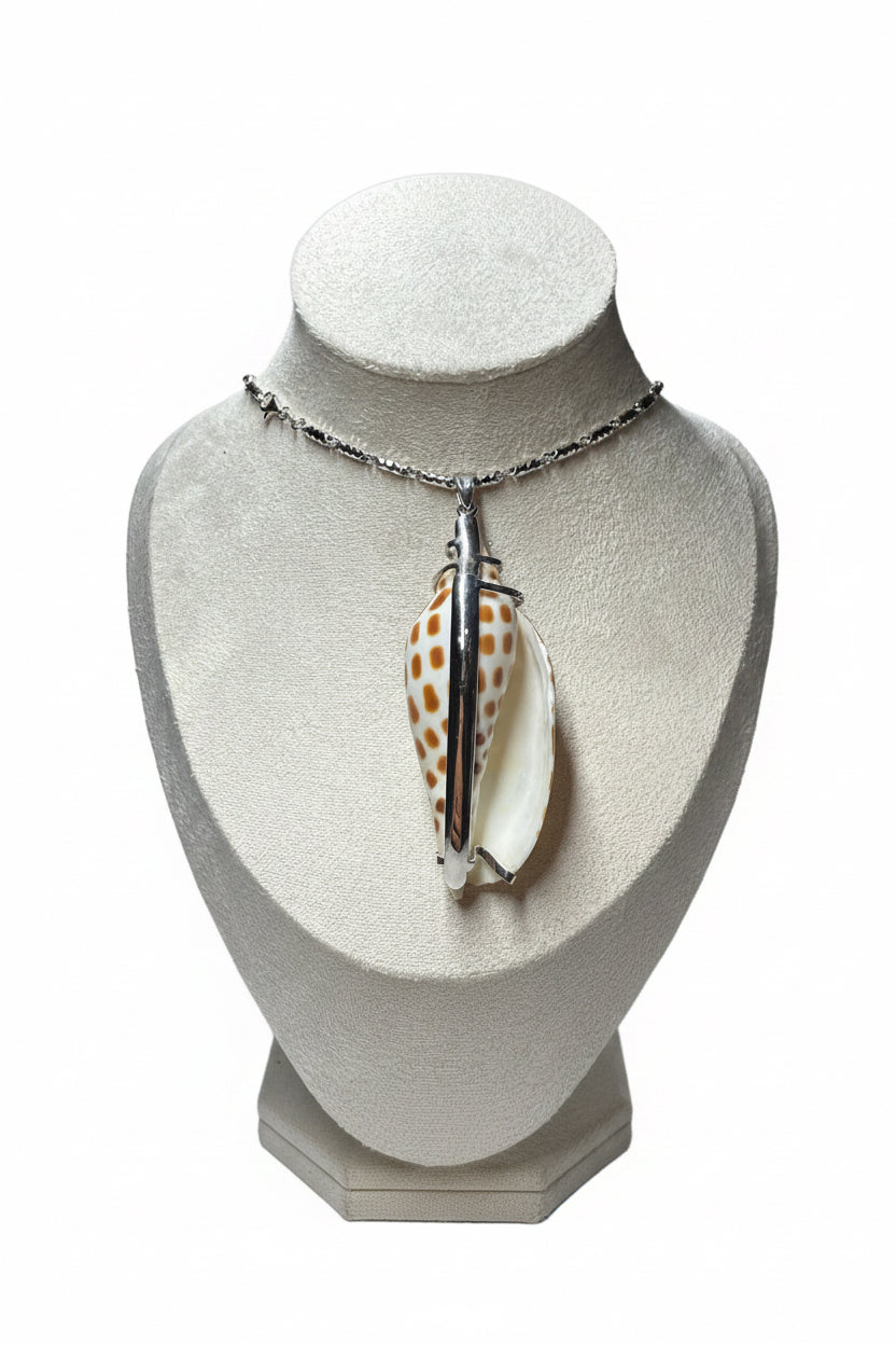 Junonia shell pendant 69.9 mm & 22 in. necklace | Set in pure 18k white gold 19 grams