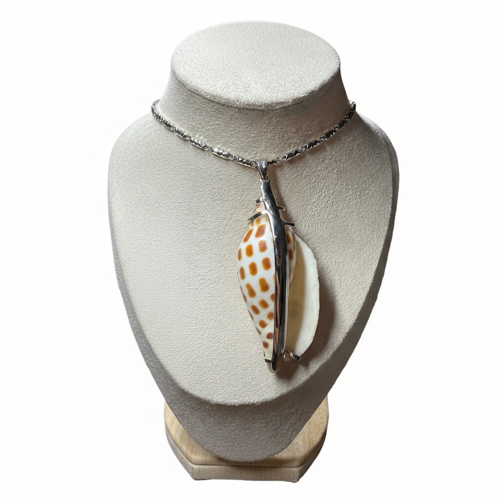Junonia shell pendant 69.9 mm & 22 in. necklace | Set in pure 18k white gold 19 grams